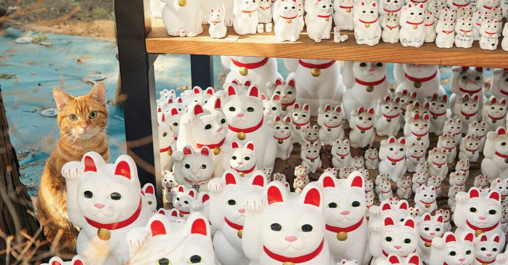 Why Do Cats Hold Such Mythic Power in Japan?