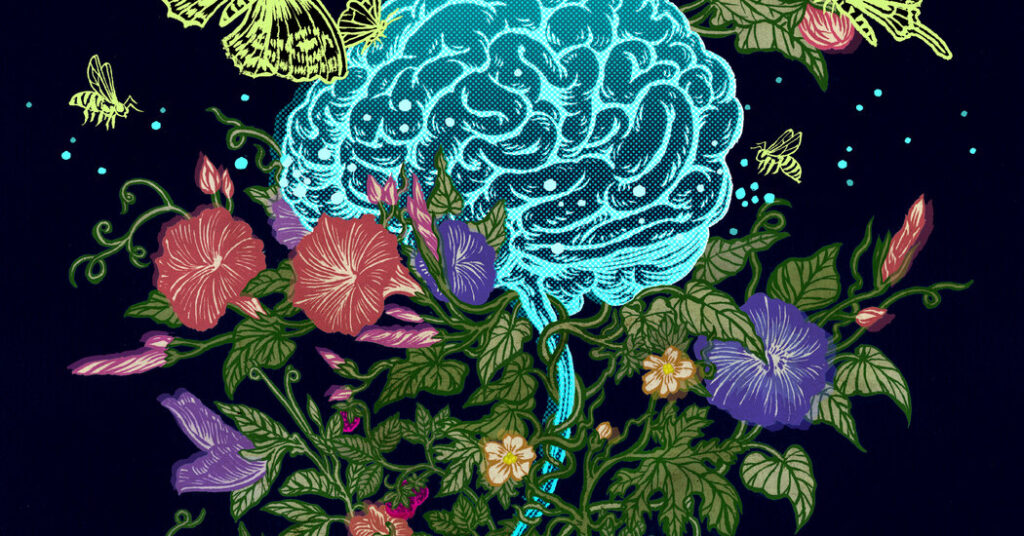 Unlocking the Mind: How Sex Hormones Influence Brain Health and Disease Treatment