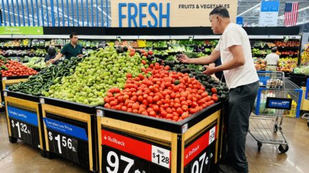 “Americans Embrace ‘Buy Now, Pay Later’ for Grocery Shopping Surge”
