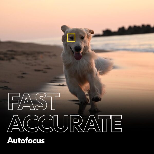 Nikon Z f Unleashed: Experience Full-Frame Brilliance with the Exclusive 40mm f/2 Prime Lens! - Image 9