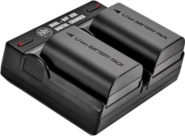 BM 2-Pack of LP-E6N Batteries and Dual Battery Charger for Canon EOS R, 90D, 60D, 70D, 80D, 5D II, III, IV, 6D, 7D, 7D Mark II, XC10, XC15 Cameras