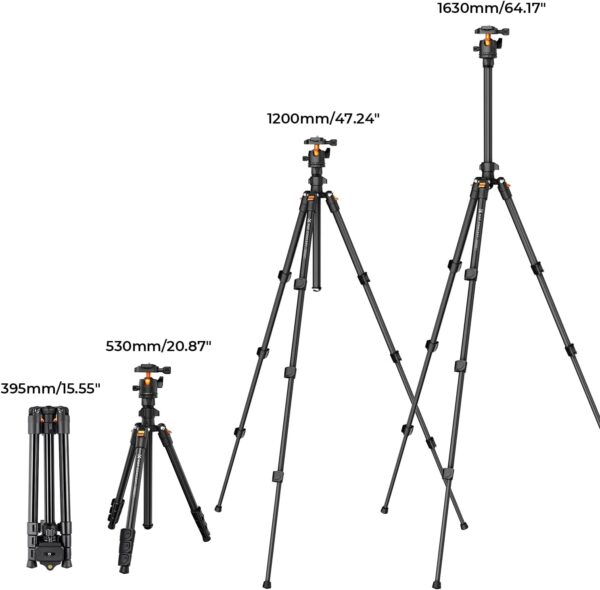 K&F Concept 64 inch/163cm Camera Tripod,Lightweight Travel Outdoor DSLR Tripods with 360 Degree Ball Head Load Capacity 8kg/17.6lbs,Cellphone Clip for Smartphone Live Streaming Vlog O234A1+BH-36 - Image 6
