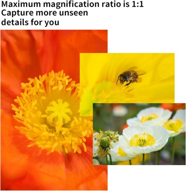 7artisans 60mm F2.8 II APS-C Macro Lens Manual Focus for M4/3 Mount Panasonic Olympus Cameras - Image 5