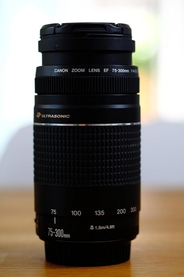Canon EF 75-300mm f/4-5.6 III Telephoto Zoom Lens for Canon SLR Cameras - Image 2