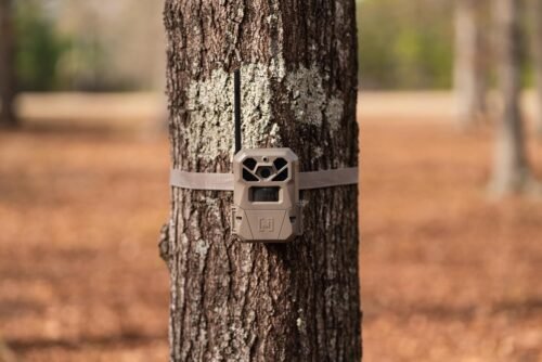 Moultrie Edge 2 Pro: The Ultimate 4G LTE Trail Camera with Stunning 40MP Photos and Smart AI Features! - 이미지 4