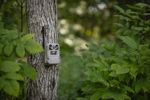 Moultrie Edge 2 Pro: The Ultimate 4G LTE Trail Camera with Stunning 40MP Photos and Smart AI Features! - 이미지 7