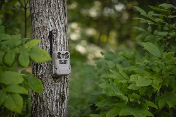 Moultrie Edge 2 Pro: The Ultimate 4G LTE Trail Camera with Stunning 40MP Photos and Smart AI Features! - Image 7