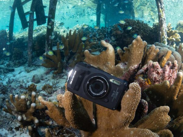 OM SYSTEM Tough TG-7 Black Underwater Camera, Waterproof, Freeze Proof, High Resolution Bright, 4K Video 44x Macro Shooting (Successor Olympus TG-6) - Image 6