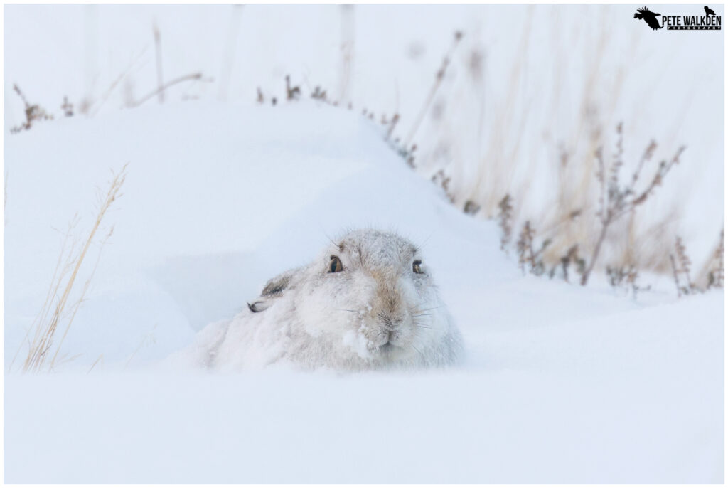 “Chill Out Savings: Pete Walkden Photography’s December & January Offer!”