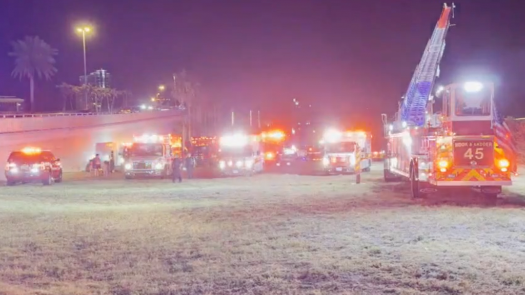 Collision Alert: Clearwater Ferry Struck by Vessel Near Memorial Causeway in Florida