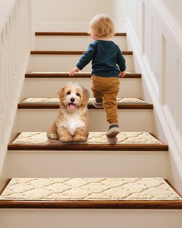 BAGAIL BASICS Non Slip Rug Pad Gripper 2 x 3 Feet Extra Thick Carpet Pads for Area Rugs and Hardwood Floors, Keep Your Rugs Safe and in Place 10 BAGAIL BASICS Non Slip Rug Pad Gripper 2 x 3 Feet Extra Thick Carpet Pads for Area Rugs and Hardwood Floors, Keep Your Rugs Safe and in Place-