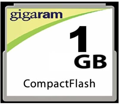 Standard 1GB 2GB 4GB 8GB 16GB 32GB CF 80x Compact Flash Memory Card (1GB)