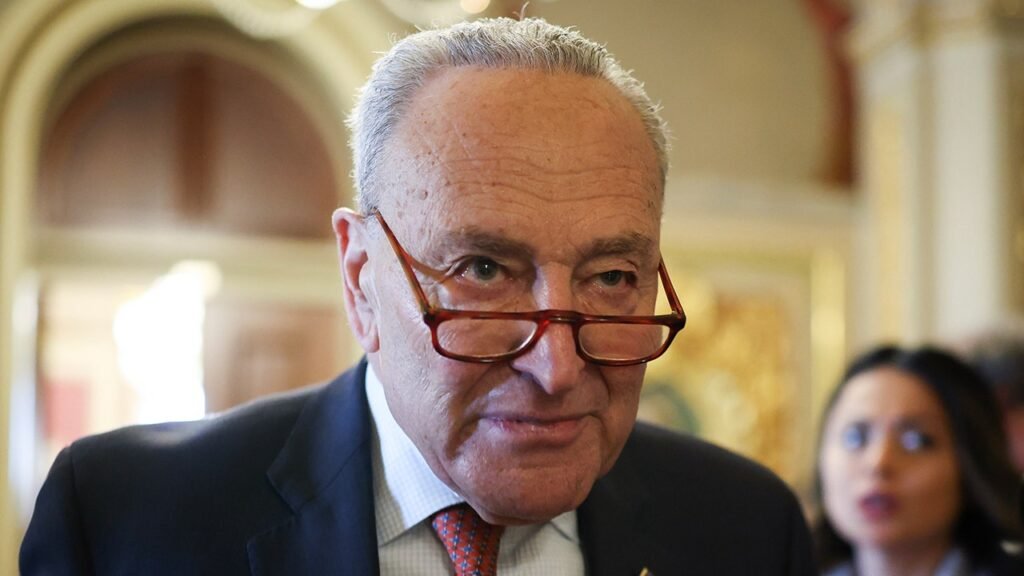 Schumer blames DOGE for Mexican Navy ship crash at Brooklyn Bridge that killed two