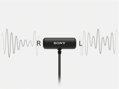 Sony Compact Stereo Lavalier Microphone ECMLV1,Black, Small - 이미지 6