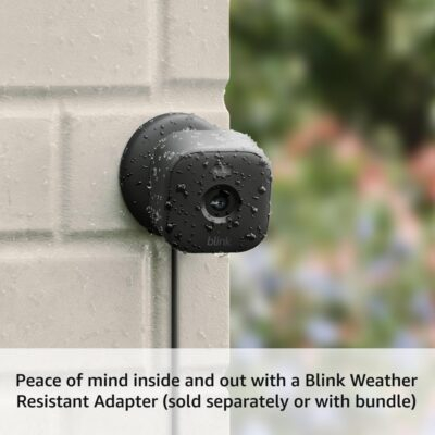 Blink Mini 2 (Newest Model) — Home Security & Pet Camera(s) with HD video, color night view, motion detection, two-way audio, and built-in spotlight — 2 cameras (Black) - 이미지 4