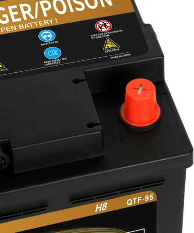 Weize Platinum AGM Battery BCI Group 49-12v 95ah H8 Size 49 Automotive Battery, 160RC, 900CCA, 36 Months Warranty - 이미지 4