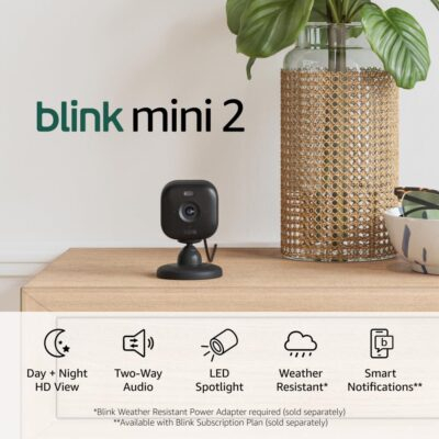 Blink Mini 2 (Newest Model) — Home Security & Pet Camera(s) with HD video, color night view, motion detection, two-way audio, and built-in spotlight — 2 cameras (Black)