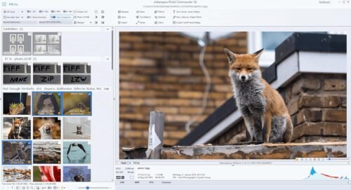 Photo editing software compatible with Windows 11, 10 – view, edit, enhance and organize your photos – more than 200 features (collages, slideshows and more) - 이미지 3