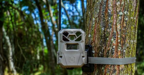 Moultrie Edge 2 Pro Cellular Trail Camera - Auto Connect Nationwide 4G LTE - On Demand 40MP Photo - 1440P Video with HD Audio - Ai False Trigger Elimination - 100 Ft Detection Range - No-Glow Flash - 이미지 6