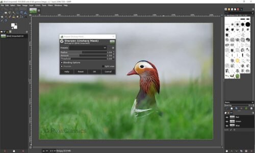 GIMP Photo Editor 2025 on USB | Compatible with Adobe Photoshop Elements CC CS6 CS5 15 | Premium Professional Image Editing Software for Windows 11 10 8 7 Vista XP PC & Mac - No Subscription Required! - 이미지 5