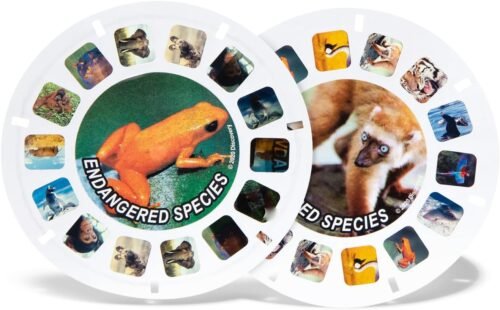 Classic View-Master - Metallic Viewfinder With 2 Reels Included - STEM, Retro, Nature Learning Toy for Kids and Adults, Toddlers, Ages 3+ - 이미지 5