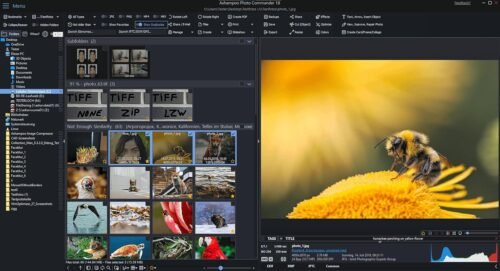 Photo editing software compatible with Windows 11, 10 – view, edit, enhance and organize your photos – more than 200 features (collages, slideshows and more) - 이미지 2