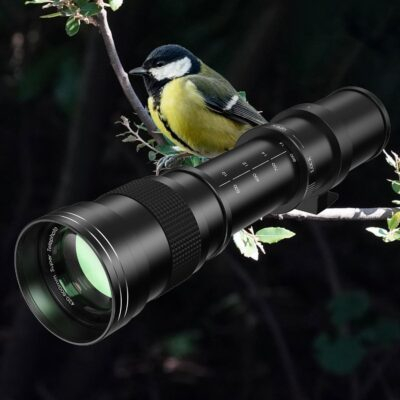 Telephoto Lens 420-800mm, EF Lens for Canon, Super Telephoto Lens + T-Mount for Canon EOS Rebel SL3 SL2 T8i T7i T7 T6 T6s T6i 1D 5D 6D 90D 80D 77D 4000D DSLR Camera Lenses - 이미지 3