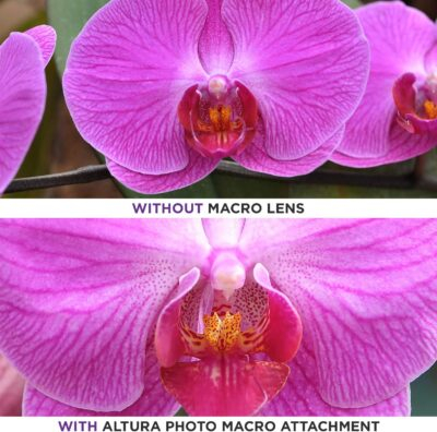 Altura Photo 58MM 0.35x Fisheye Wide Angle Lens (w/Macro Portion) for DSLR Cameras EOS Rebel 70D 77D 80D 90D T8i T7 T7i T6i T6s T6 T5i T5 T4i T3i T100 SL1 SL2 SL3 - 이미지 7