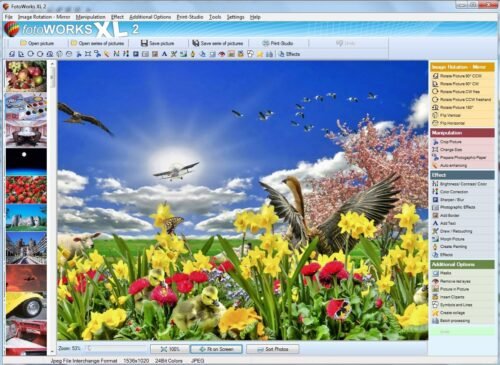 FotoWorks XL 2025 Version - Photo Editing Software for Windows 10, 11, 8 and 7 - Very Easy to Use - 이미지 2