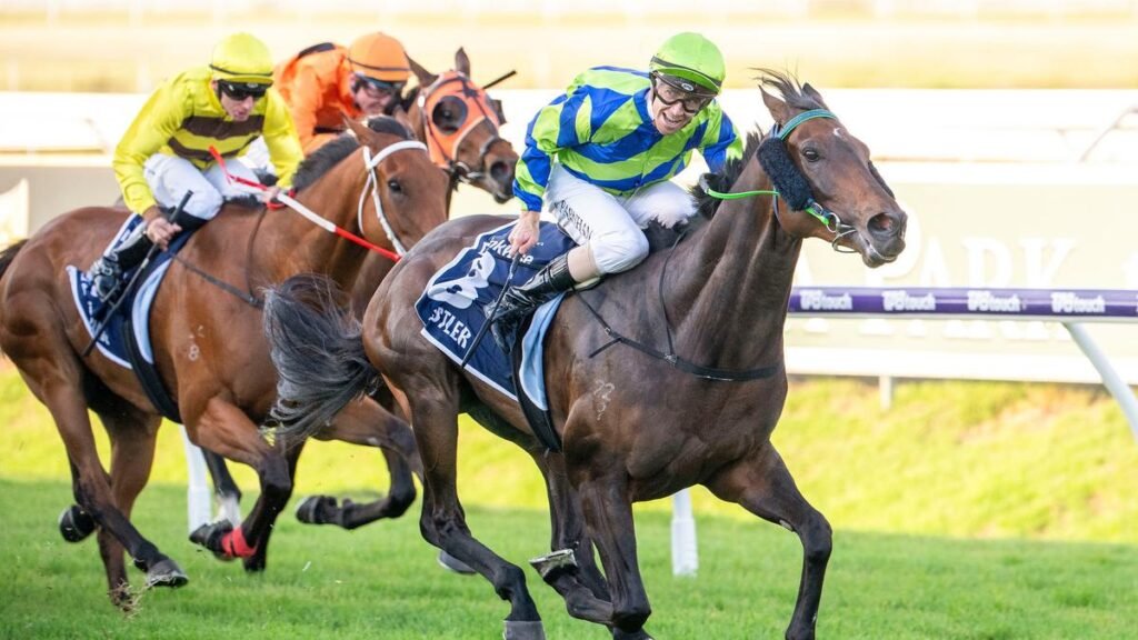 Bustler back in career-best form and ready to rumble first-up in Belmont Sprint