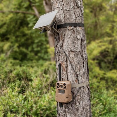 Moultrie Edge 2 Pro Cellular Trail Camera - Auto Connect Nationwide 4G LTE - On Demand 40MP Photo - 1440P Video with HD Audio - Ai False Trigger Elimination - 100 Ft Detection Range - No-Glow Flash - 이미지 5