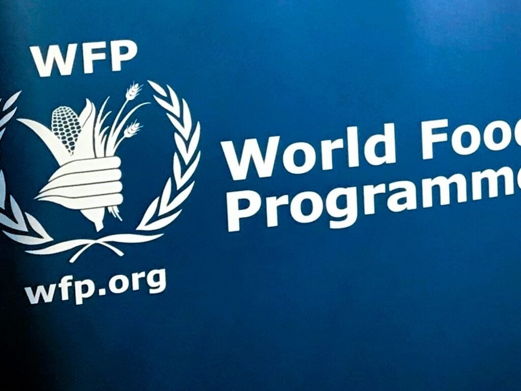 ‘This must stop now’: UN food body condemns RSF attacks on Sudan premises | Sudan war News