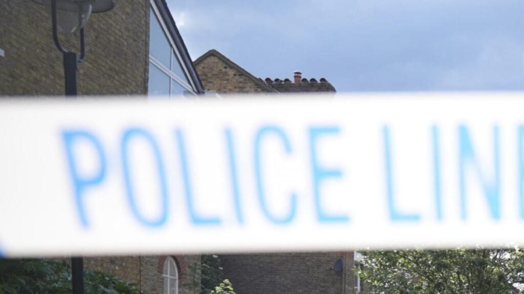 Five hospitalised after stabbing in southeast London
