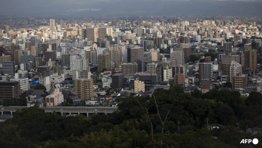 Mystery Unraveled: The Discovery of Over 100 Cats in a Japanese Woman’s Home