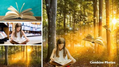 Unleash Creativity: Adobe Photoshop Elements & Premiere Elements 2025 for Students and Teachers – 3-Year Software Download for PC/Mac! - 이미지 5
