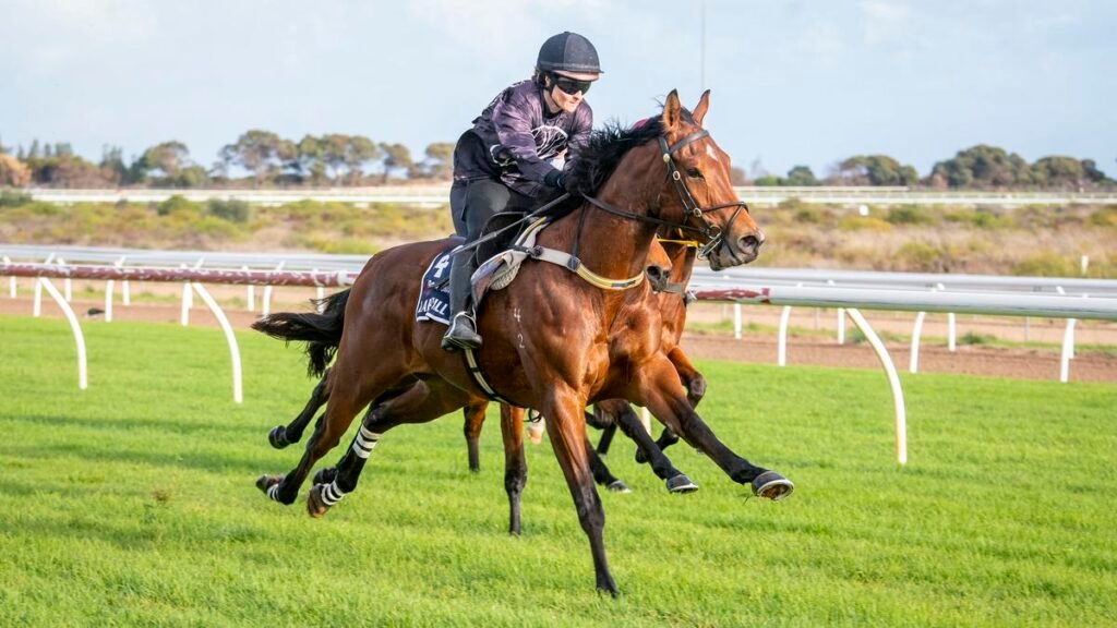 “Echoes of Excellence: Clairvoyance’s Brother Shines in Lark Hill 400m Sprint”