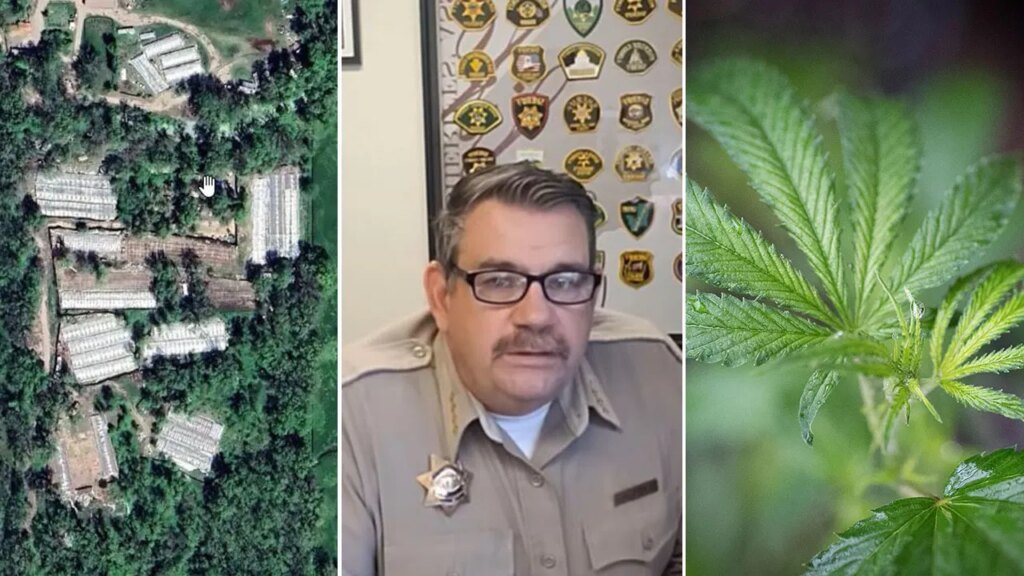 Tribal Land Under Fire: California Tribe Takes Sheriff to Court Over Cannabis Raids Linked to Cartel Activity