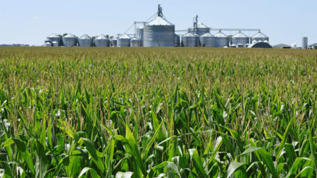 “Expert Sounds Alarm: Chinese Agroterrorism Threatens to Upend America’s Food Chain”