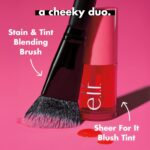 Cherry Cola Blush Tint: Effortless Glow for Lips & Cheeks