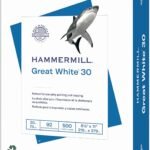 Eco-Friendly Excellence: Hammermill Great White 30% Recycled Printer Paper, 500 Sheets