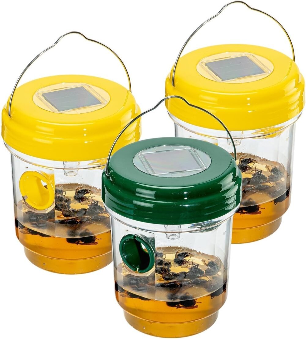 Effective Outdoor Wasp Control: Triple Pack Hanging Traps