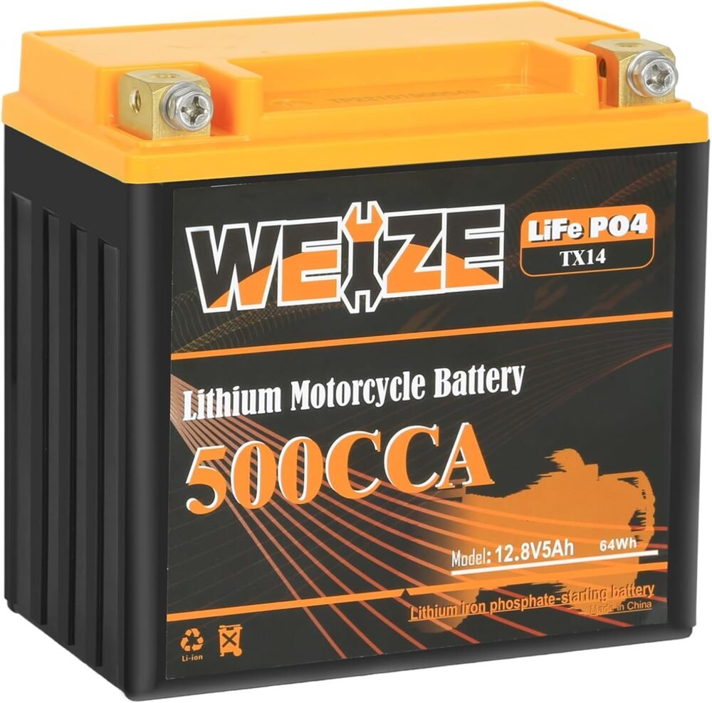 Versatile Power: Weize 12V LiFePO4 Battery for All Your Outdoor Adventures