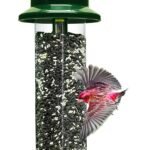 Ultimate Squirrel-Resistant Bird Feeder with Cardinal Ring and Adjustable Features