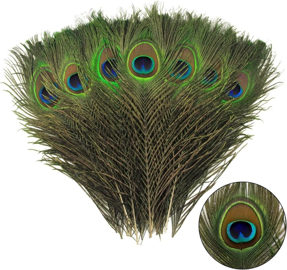 Elegantly Vibrant Peacock Feathers: Perfect for Crafting and Festive Decor