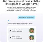 Google Nest Outdoor Wired, Security Came - Image 6