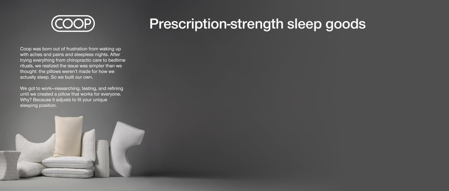 Coop Home Goods Eden Pillow - Queen Size, Medium Sof 492