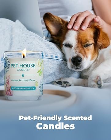 Freshener Concentrated Spray Odor, Sunwashed 623