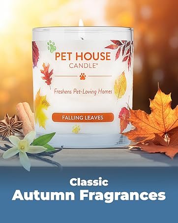 Freshener Concentrated Spray Odor, Sunwashed 625