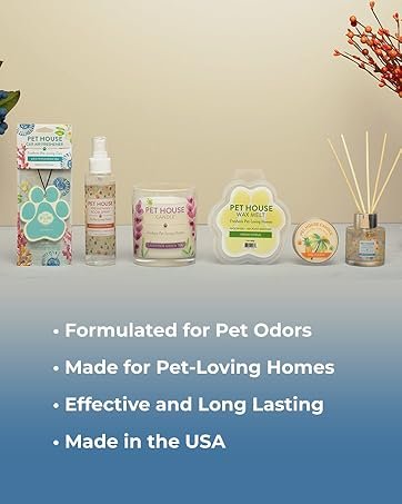 Freshener Concentrated Spray Odor, Sunwashed 622