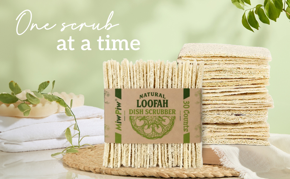 Natural Loofah Dish Sponge Pack Biodegradable 511